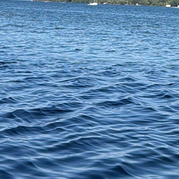 donnagarier